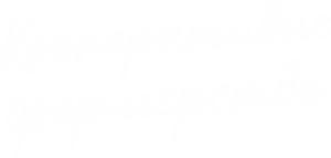 Petit Ja Головна